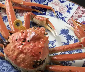 福井の食